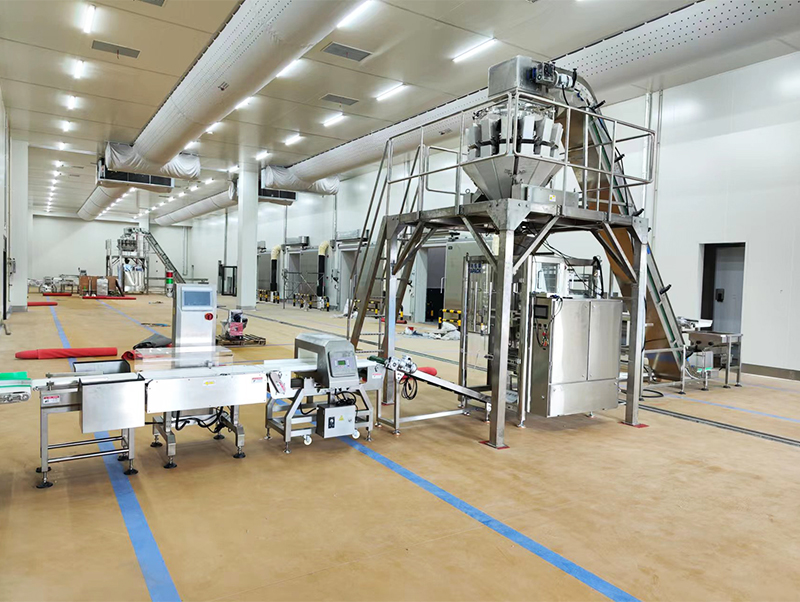 خودکار پیکنگ مشین فرزن فوڈ