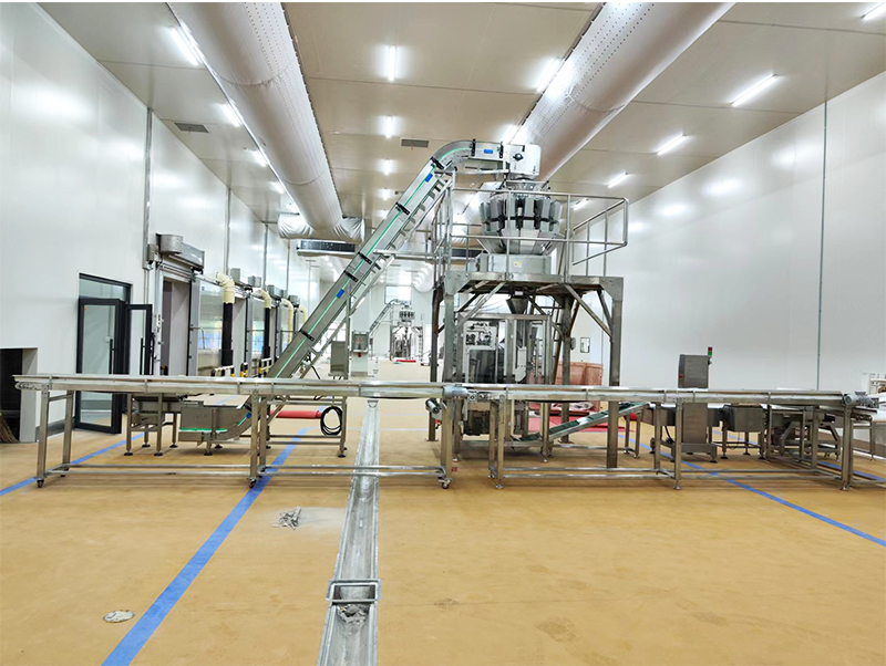 خودکار پیکنگ مشین فرزن فوڈ