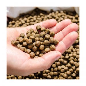 عمودی چارے کی پیکنگ مشین