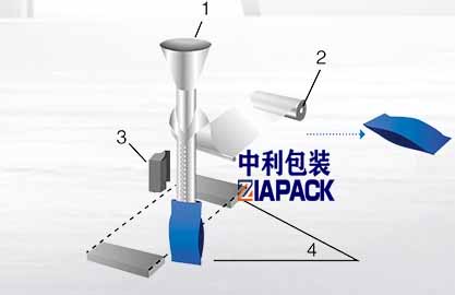 عمودی بیگ کی تشکیل